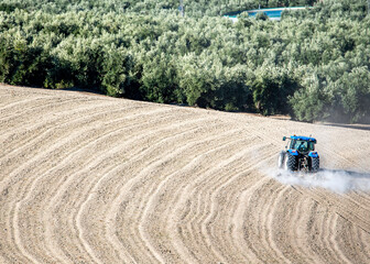 A tractor plows a wavy field while an olive grove stretches into the background, showcasing rural labor and Mediterranean agriculture.