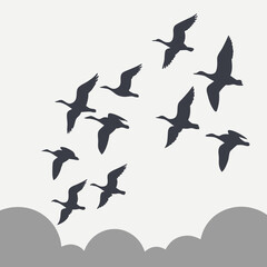 birds in the sky vector illustration