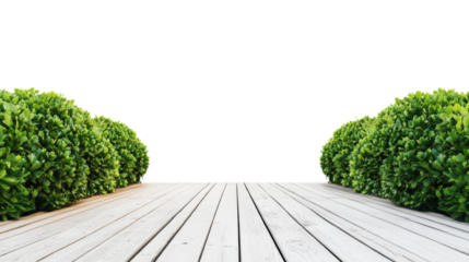 White wooden floor leading to transparent background with green bushes