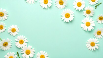Delicate White Daisies on Soft Mint Green with copy space. Abstract Wedding Background
