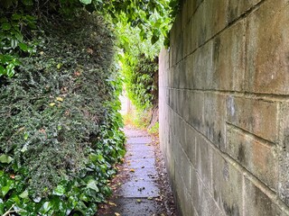View along pathway with wall to one side and bushes to other