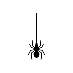 Halloween spider icon hanging on a web
