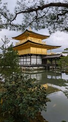 Naklejka premium japanese garden in autumn
