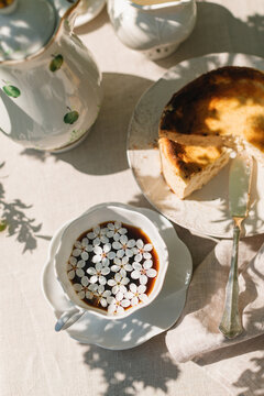 Overhead view of plum flowers floating in a cup of coffee and a homemade cheesecake on the garden table in springtime