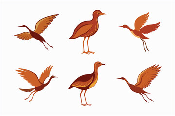 set of jacana bird vector illustration