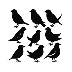 Collection of Nine Black Bird Silhouettes - Various Avian Poses Vector Set