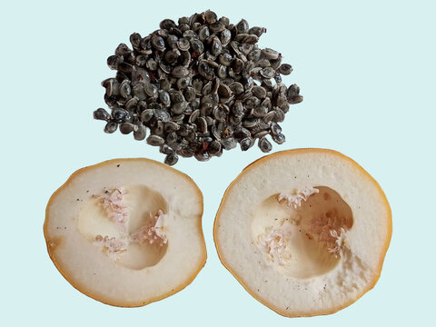 Fruta Maracuj&aacute; suspiro, nativo do Cerrado, Fam&iacute;lia Passifloraceae