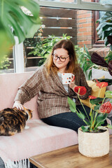 Smiling woman with cup of drink relaxing with cat pet on sofa in home garden conservatory after housekeeping. relaxed female resting at home. Gardening hobby. Biophilia lifestyle. Vertical