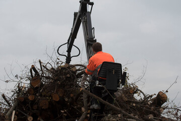 Loading of wood onto the rail