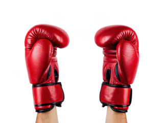 Red Boxing Gloves