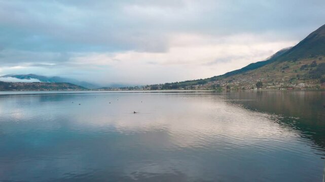 Paisajes naturales del Lago San Pablo en Otavalo, Ecuador, con vistas al majestuoso Volc&aacute;n Imbabura, patos silvestres en su h&aacute;bitat natural y tradicionales lanchas de totora navegando sobre sus tranqu