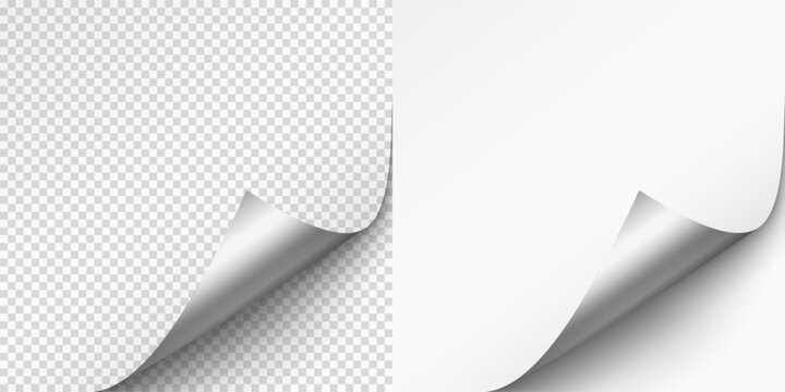 Curled page corner isolated on transparent and white background. Blank curve paper edge, bent sheet, note angle with realistic shadow. Vector rolled up stickers, peel banners