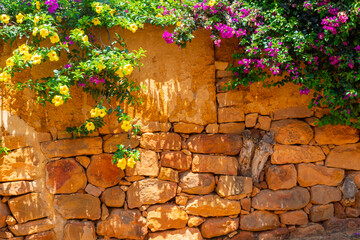 Rustic wall of stone and bahareque covered with blooming Bougainvillea in vibrant fuchsia and yellow Allamanda flowers