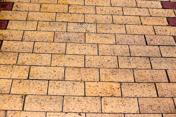 Pavement brickwork in Tokyo Japan