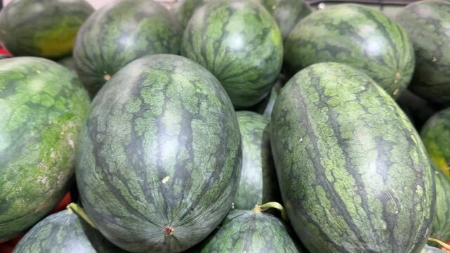 Green striped watermelons ripe bright striped watermelons on one pile. Harvesting watermelon. Beautiful background, illustration of watermelon harvesting. Sweet natural fruit dessert, healthy food