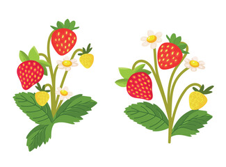 Strawberry. Flat vector clipart, illustration with isolated background.
