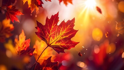 Autumn's Embrace Vibrant Maple Leaf in Golden Sunlight
