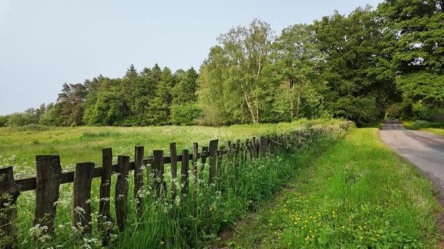 Cheshire North West England UK , 07.06. 2025. Video.  Fence of split wood around a field in the Cheshire countryside UK