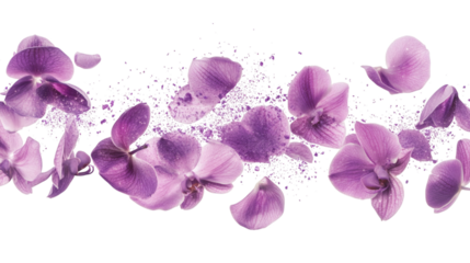 Levitation of glowing violet edible orchids petals sprinkled with stardust isolated on white background 