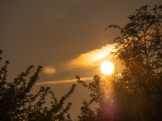 Sunset behind trees with dramatic golden light and warm tones in the sky. Peaceful and atmospheric...