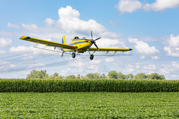 Crop duster airplane spraying chemicals on cornfield. Fungicide, pesticide and crop spraying...