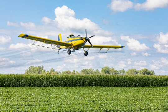 Crop duster airplane spraying chemicals on cornfield. Fungicide, pesticide and crop spraying concept.