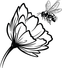 Black and White Bee Flying Near Large Flower insect