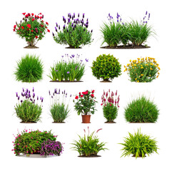 Vibrant Collection of Flora Featuring Colorful Flowers and Grass, Isolated on Transparent Background