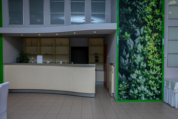 Modern Kitchen Design Featuring a Lush Green Wall That Enhances the Overall Aesthetic