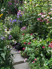 Stone Garden Path Surrounded by Wildflowers
