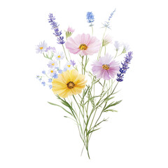Fototapeta premium PNG Flowers art illustration watercolor.