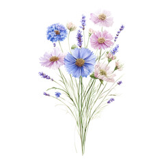 PNG Flowers art illustration watercolor.