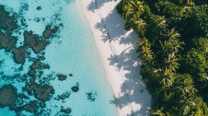 Aerial view of a pristine beach with turquoise water and lush palm trees
