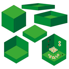 Box vector icon. Flower box symbol. Green cube design. Red ant detail.