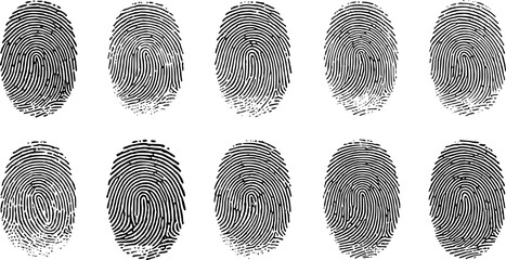 Fingerprint Pattern: A series of intricate fingerprint patterns. Each unique mark tells a story of identity and individuality, a testament to the subtle details that make us all distinct