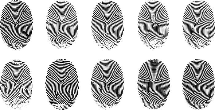 Fingerprint Pattern: A series of intricate fingerprint patterns. Each unique mark tells a story of identity and individuality, a testament to the subtle details that make us all distinct