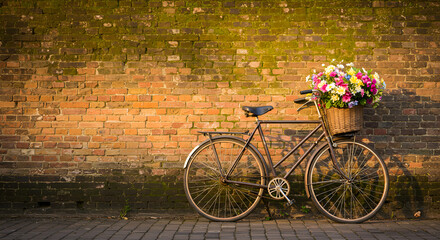 An old bicycle stands in front of a mossy brick wall with a basket full of colorful flowers, exposed to the afternoon sun. 