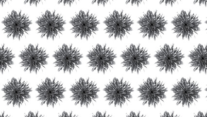 Blooming Flowers Pattern