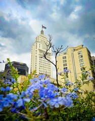 Fototapete bei efototapeten.de bestellen   