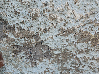 Damaged Textured Wall with Peeling Paint and Cracks