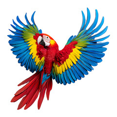 Obraz premium Vibrant Scarlet Macaw with Open Wings on Transparent Background