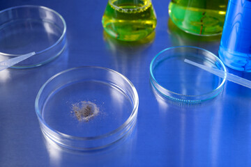 Petri dishes with samples on table, closeup
