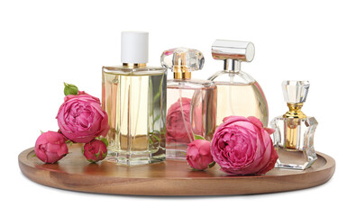 Many different perfume bottles and roses isolated on white