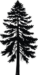 Silhouette of a Pine Tree, Detailed Evergreen Vector Illustration for Nature and Forest Themes