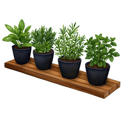 Obraz premium Four Potted Herbs on Rustic Wooden Shelf