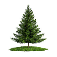 Lush Green Evergreen Tree on Grass, Isolated on Transparent Background
