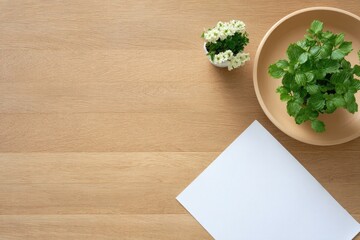 Light beige wooden surface with small plants and paper