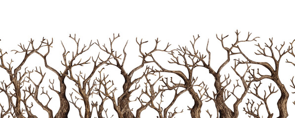 Tree without leaves, with dry bare branches watercolor illustration. Gothic autumn decoration of branches for Halloween. Countryside isolated from background. For seasonal design border, framing © AliCris