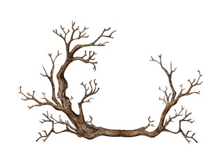 Tree without leaves, with dry bare branches watercolor illustration. Gothic autumn decoration of branches for Halloween. Countryside isolated from background. For seasonal design border, framing