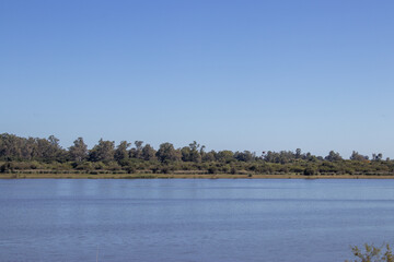 Campo al horizonte del río